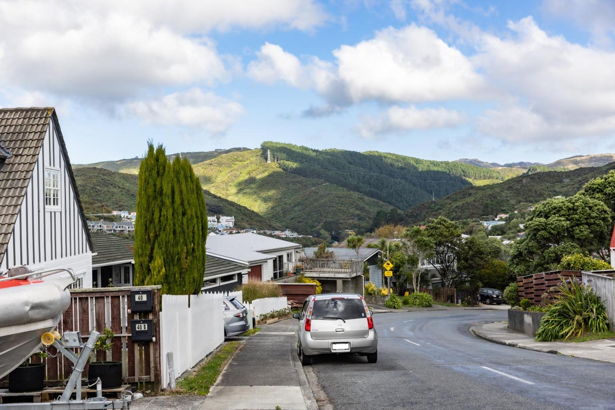 Back Garden Flat With Free On Street Parking And Fiber Wifi - 15 Mins To Ferry, Stadium, Cbd Wellington Bagian luar foto